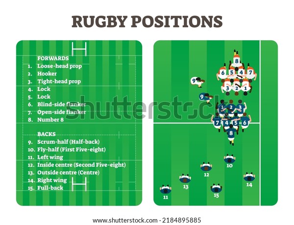 Rugby positions team group figure scheme, vector\
illustration players set. Forwards team with hooker, tight-head\
prop, lock etc. Also backs team with scrum-half, left wing,\
fly-half and others.