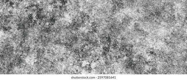 The Rugged and Raw Appearance of a Distressed Concrete Wall with Natural Variations
