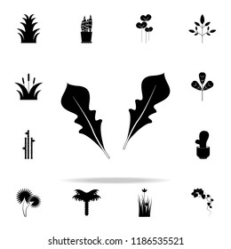 rukola icon. Plants icons universal set for web and mobile