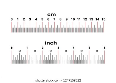6 inches in cm ruler