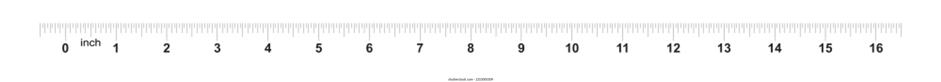Ruler 16 inches. Metric inch size indicator. Decimal system grid. Measuring tool.