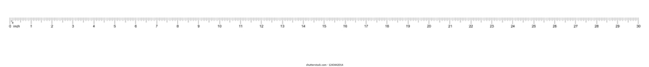 30 inch ruler order now