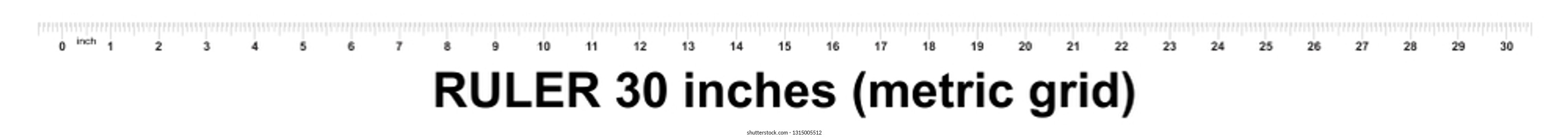 Ruler 30 inches. Metric inch size indicator. Decimal system grid. Measuring tool.