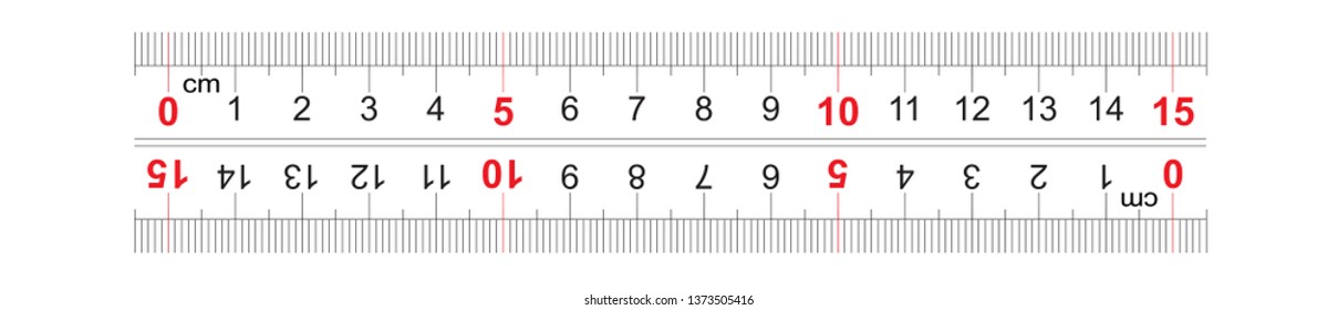 Ruler bidirectional double sided 150 millimeter, 15 centimeter. The division price is 1 mm. Precise measuring tool. Calibration grid