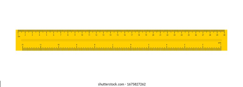 Ruler in flat style. Simple isolated flat vector illustration