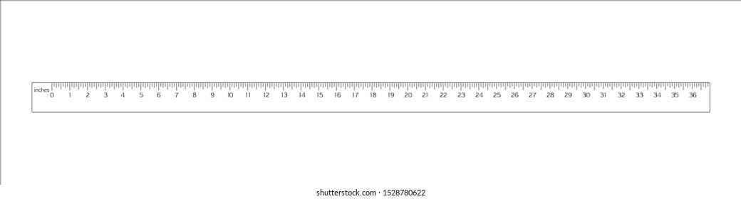 Ruler icon from 0 to 36 inches isolated on the white background. Vector.
