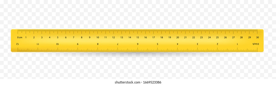 Ruler inches and 30 cm scale on both sides. Vector school, plastic yellow isolated rulers with double side measuring inches and centimeters