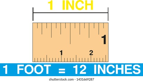 1 inch on scale