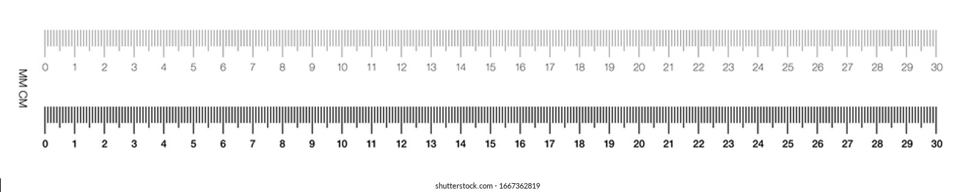 Set Ruler 30 Cm Precise Measuring: стоковая векторная графика (без лицензио...