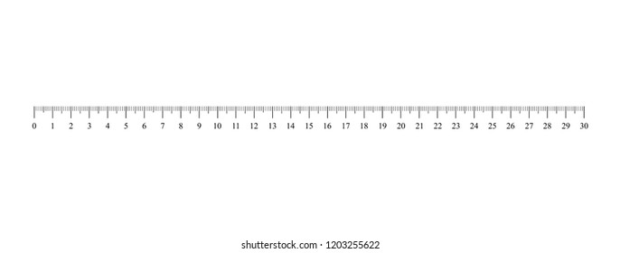 Ruler scale. Vector illustration