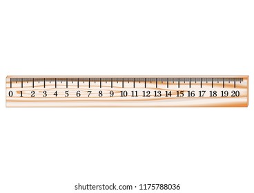 A ruler from a tree for measuring length, an instrument for use in math and physics classes.