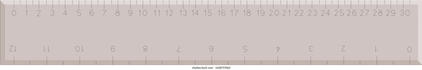 ruler vector icon, ruler in trendy flat style