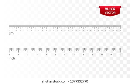 Rulers set, inches and centimeters. Vector illustration isolated