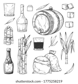 Rum production. Isolated cane or sugarcane with leaves, rum bottle and glass, sugar cubes, sack, barrel sketch icons. Flat vintage hand drawn collection. Alcohol drink production