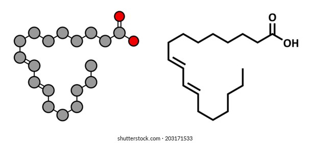 Rumenic acid (bovinic acid, conjugated linoleic acid, CLA) fatty acid molecule. Stylized 2D rendering and conventional skeletal formula.