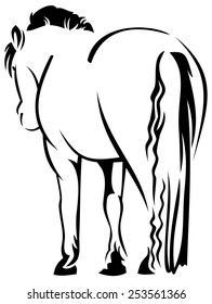 Rump of a horse