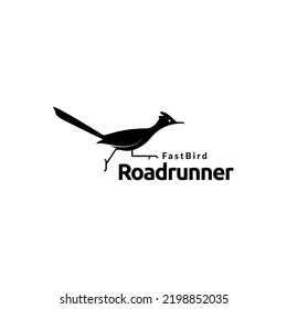 Run Roadrunner Logo Design Vector