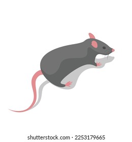 Runaway mouse, rear view close-up. Gray rodent isometric style. Vector illustration flat design. Isolated on white background.