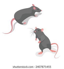 Runaway mouse, rear view close-up. Gray rodent isometric style. Vector illustration flat design. Isolated on white background.