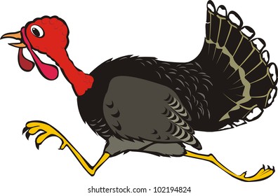 Runaway Turkey - Thanksgiving Day