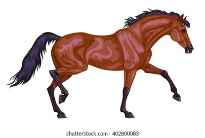 running bay horse