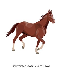 Um cavalo de corrida. Esporte equestre. Ilustração vetorial isolada em um plano de fundo branco em estilo realista