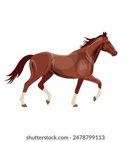 Running bay horse. A purebred trotter runs at a trot. Arabian stallion. Vector illustration isolated on a white background in realistic style