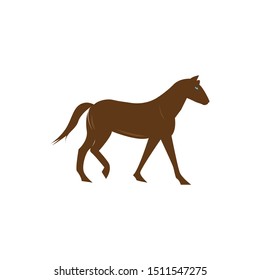 Running beautiful horse sport vector logo design template
