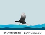 Running bird. Eurasian Coot. Fulica atra. Vector image.
