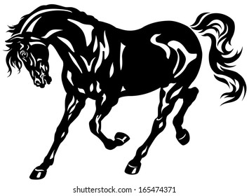 running black horse 
