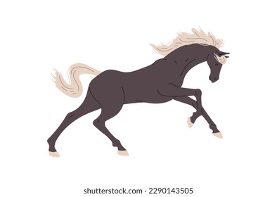 Running black horse flat style, vector illustration isolated on white background. Fast strong ani, am with white mane, tail and hooves, decorative design element