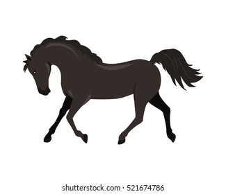 Running black horse flat style vector. Domestic animal. Country inhabitants concept. Illustration for farming, animal husbandry, horse sport companies. Agricultural species. Isolated on white