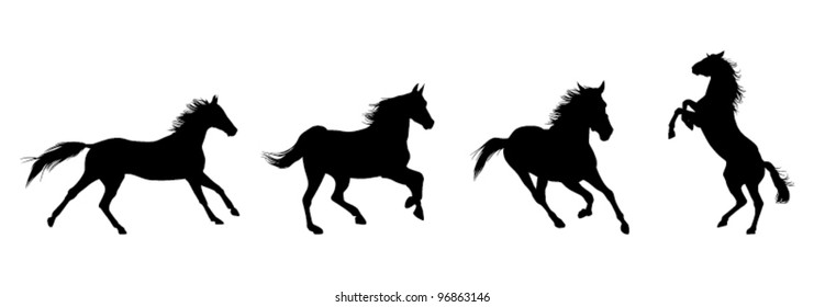 87,846 Black And White Vector Horses Images, Stock Photos & Vectors ...