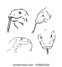 Running black line varan, dragon Komodo, on white background. Sketch style. Vector graphic icon animal.