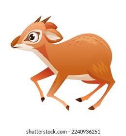 Running Brown Dik-dik as African Small Antelope with Horns Vector Illustration