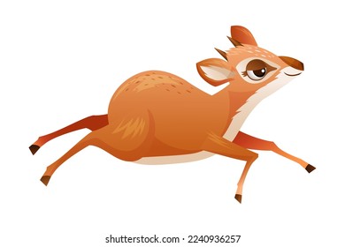 Running Brown Dik-dik as African Small Antelope with Horns Vector Illustration