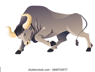 Running buffalo with sharp horns, isolated mad bull. Aggressive wild animal, wildlife and wilderness, bullfight hobby or corrida. Longhorn highland ox. Strong enraged species, vector in flat style