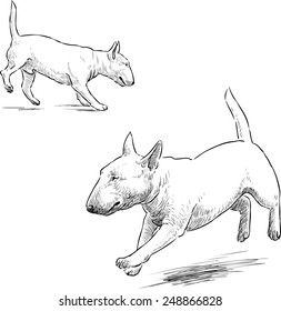 2,458 Running dog sketch Images, Stock Photos & Vectors | Shutterstock