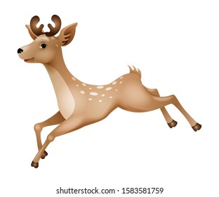 Running cartoon deer. Isolated on a white background.