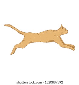 Running Cat. Vector Cartoon Feline Illustration