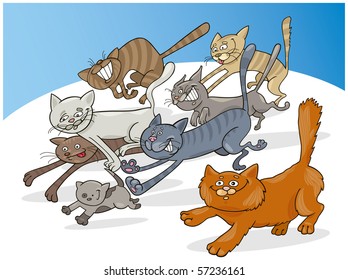 running cats