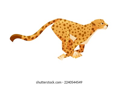 Cheetah als afrikanische Große Katze mit langen Schwänzen und schwarzen Scheiben auf Coat-Vektorgrafik