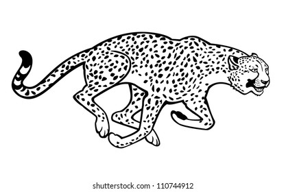 1,710 Cheetah running black white Images, Stock Photos & Vectors ...