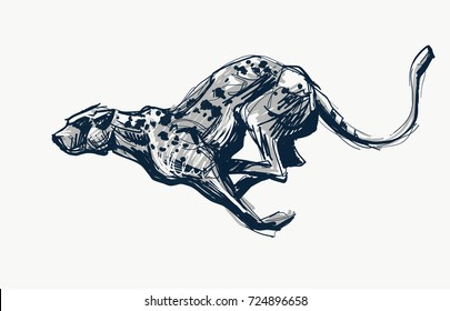 Running Cheetah Fast Ink Sketch, Vector Illustration. Hunting Wild Cat, Leopard, Panther, Jaguar Speedpainting.