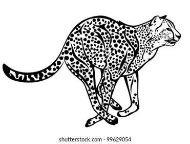 running cheetah fine vector illustration - black and white outline