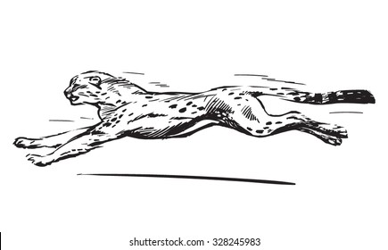 Running Cheetah. Hand Drawn Vector Illustration. Tattoo. Speed Concept.