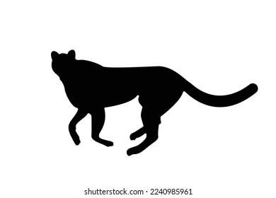 Running cheetah silhouette on white background Cheetah vector, wild cat illustration