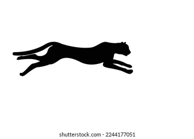 Running cheetah silhouette on white background Cheetah vector, wild cat illustration