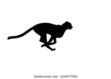 Running cheetah silhouette on white background Cheetah vector, wild cat illustration