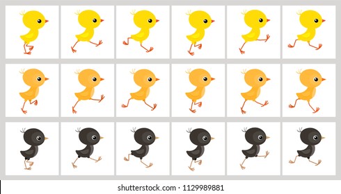 
Las pollos coloridas corren con láminas aisladas sobre fondo blanco.Ilustración vectorial. Se puede utilizar para animación GIF 